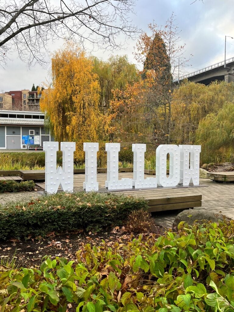 taylor swift willow light installation on granville island